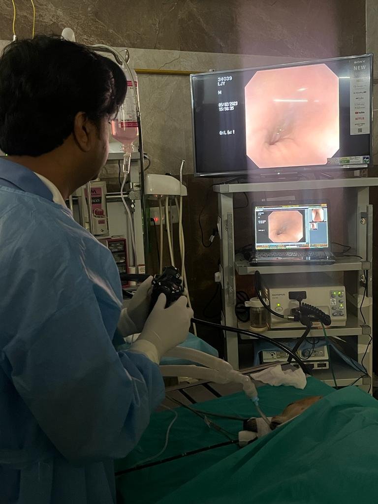 A clinician performing an endoscopy at KPC Pet Hospital
