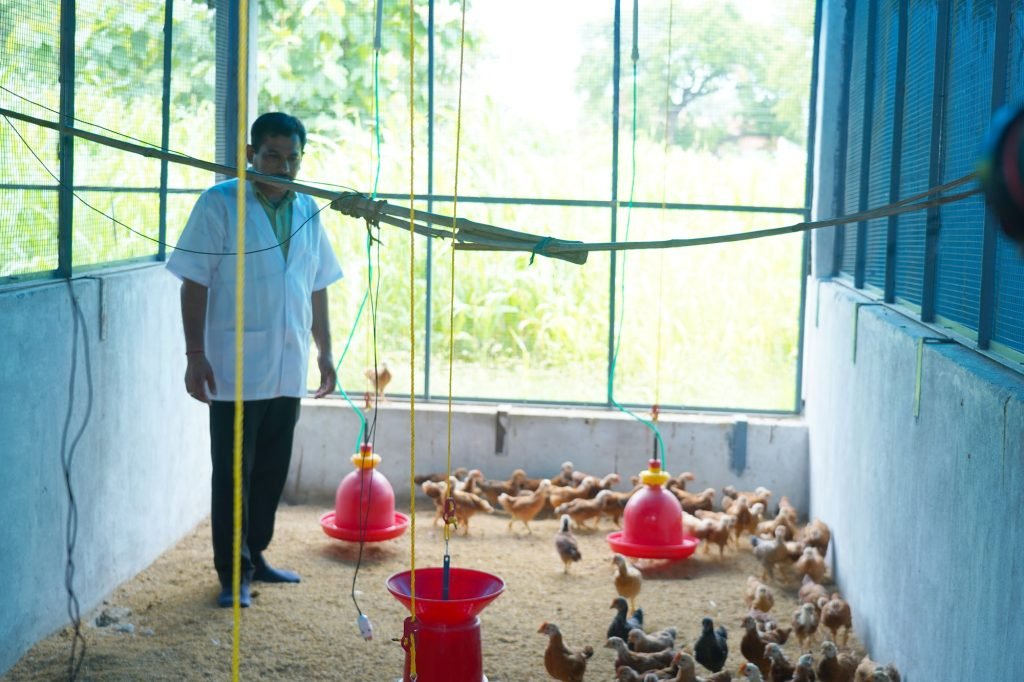 Poultry unit with staff