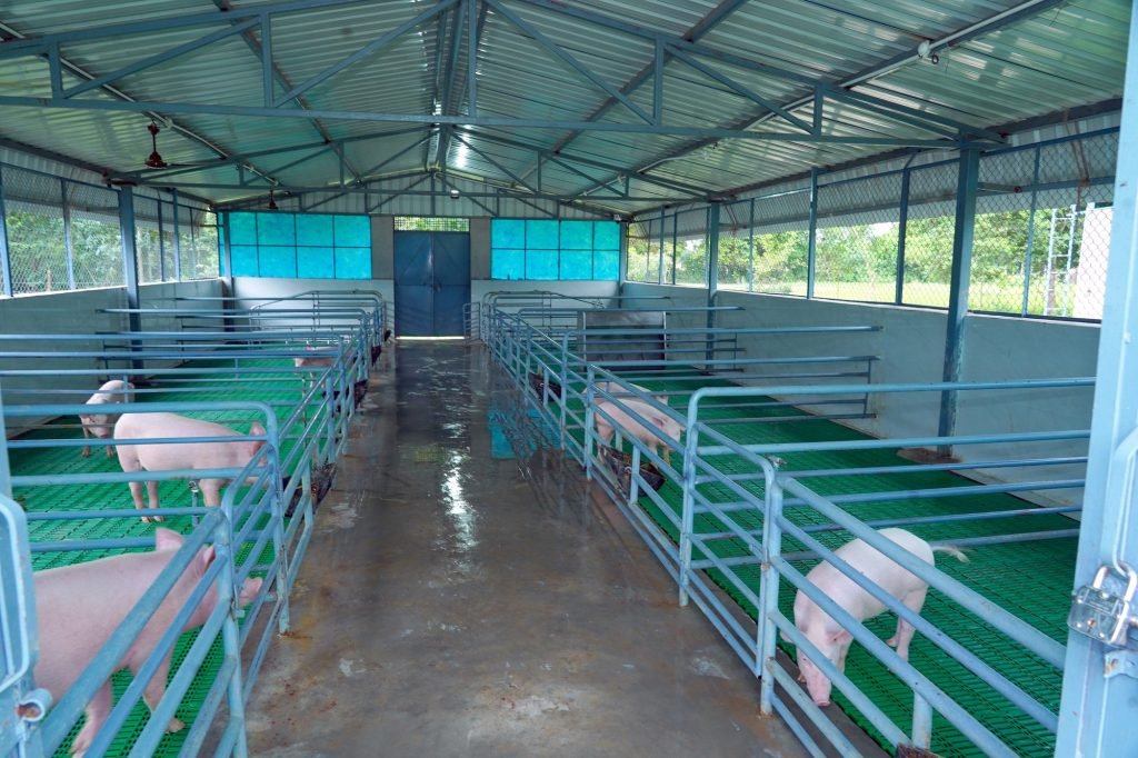 Swine breeding unit pens