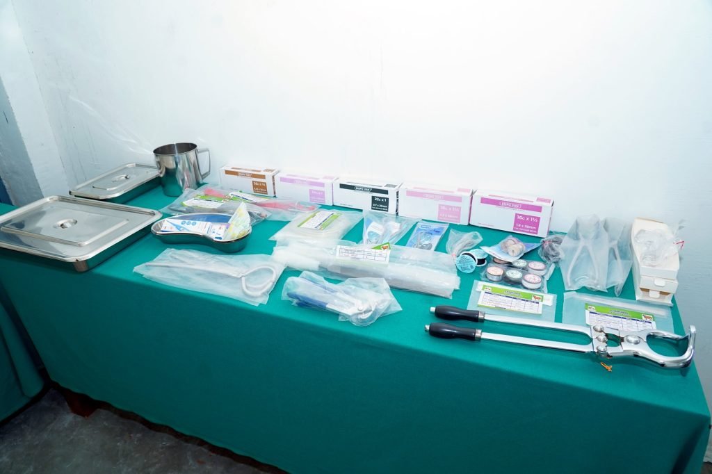 Artificial insemination kits and instruments