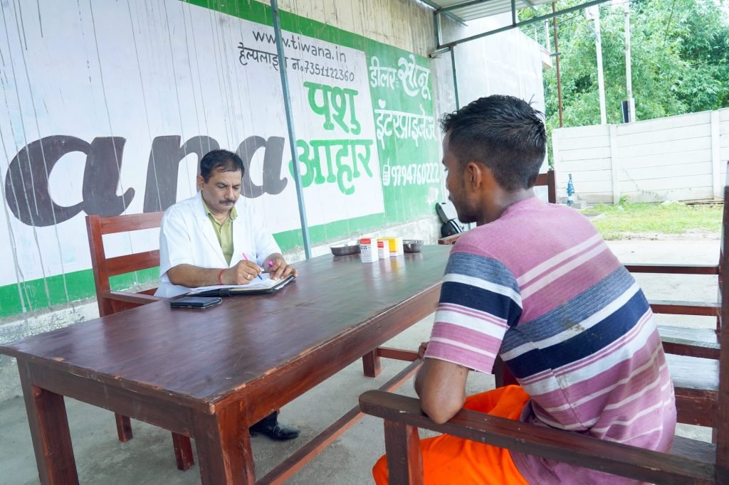 Farmer consultation, livestock extension